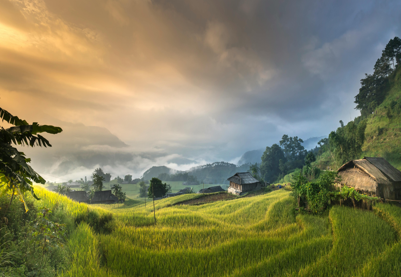 banner-slider